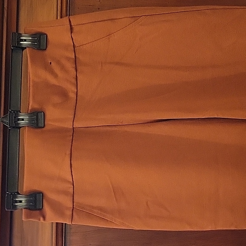 Dear Scarlett | Magic Straight Slim Pull On Pants in Rust - Size Small - Picture 2 of 9